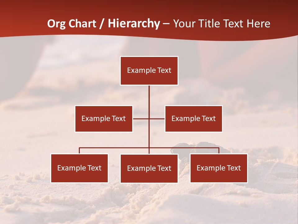 Beach Turtle Shell PowerPoint Template