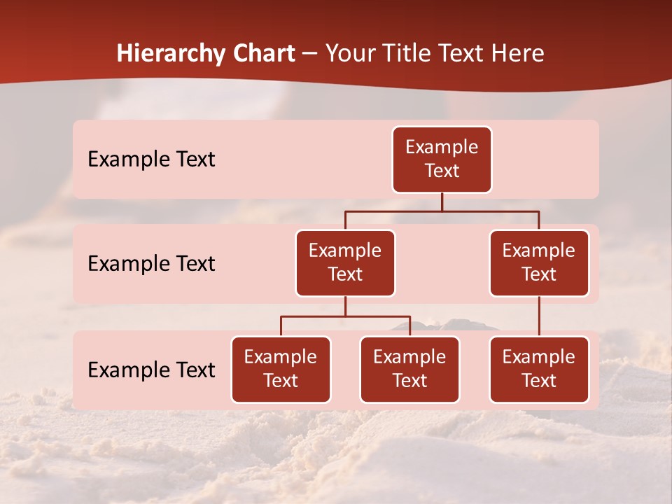Beach Turtle Shell PowerPoint Template