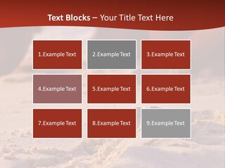 Beach Turtle Shell PowerPoint Template