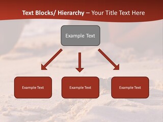 Beach Turtle Shell PowerPoint Template