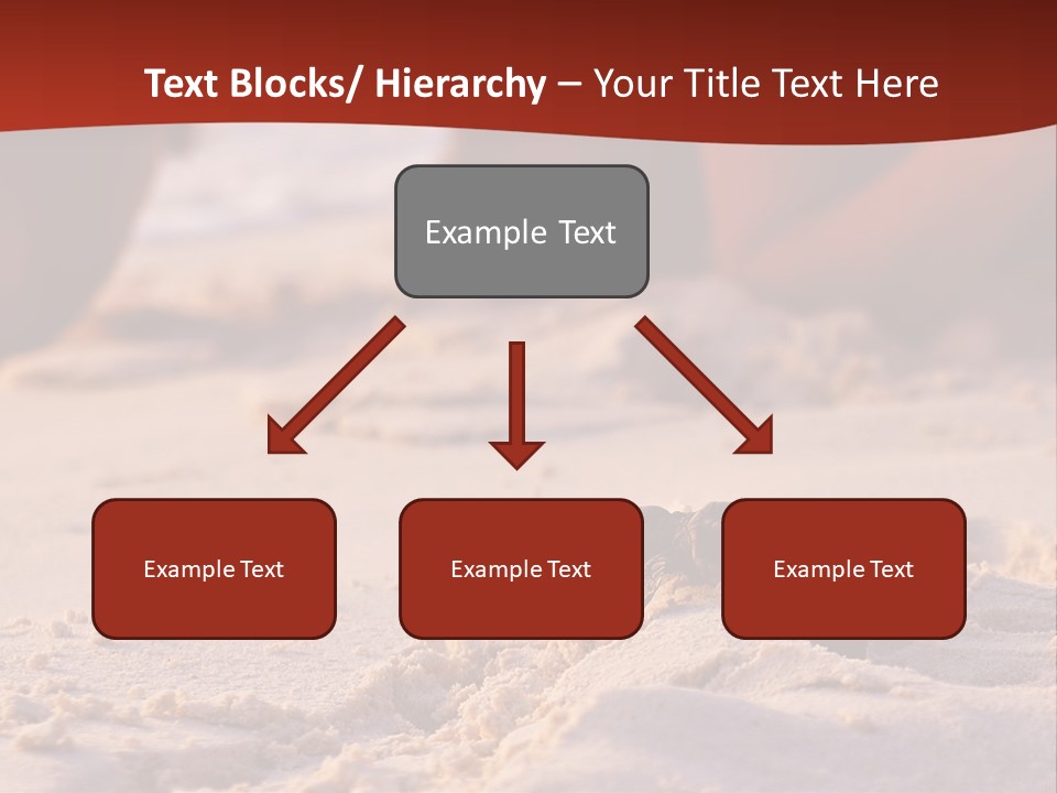 Beach Turtle Shell PowerPoint Template