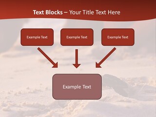 Beach Turtle Shell PowerPoint Template