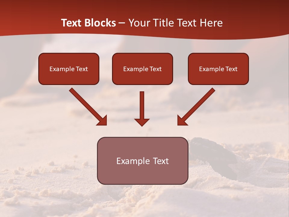 Beach Turtle Shell PowerPoint Template