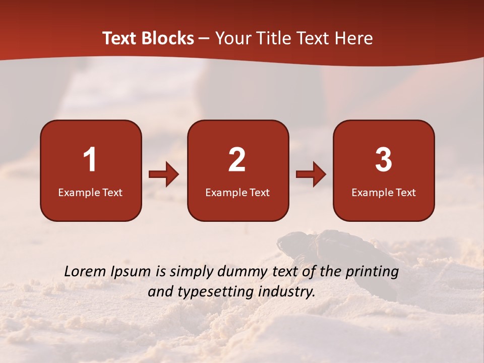 Beach Turtle Shell PowerPoint Template