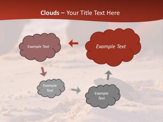 Beach Turtle Shell PowerPoint Template