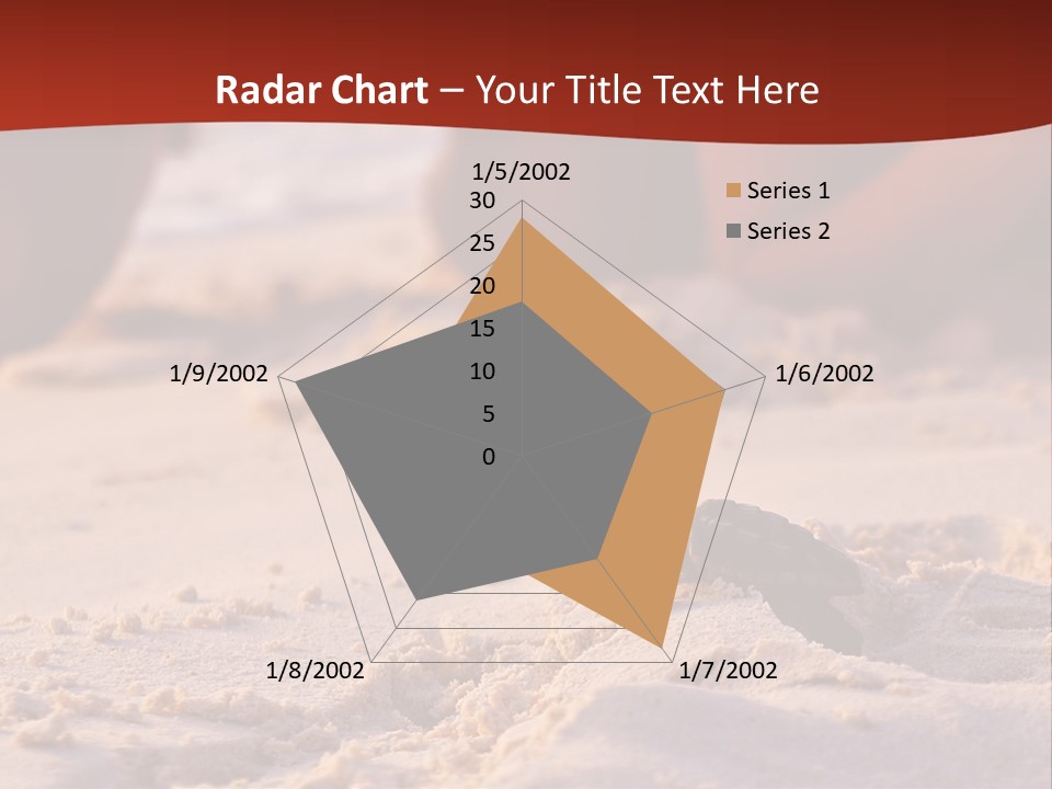 Beach Turtle Shell PowerPoint Template