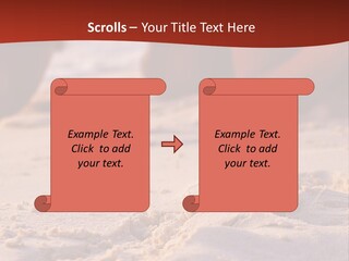Beach Turtle Shell PowerPoint Template
