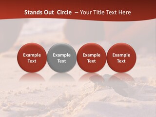 Beach Turtle Shell PowerPoint Template