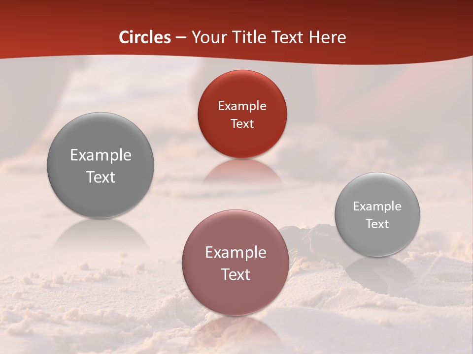 Beach Turtle Shell PowerPoint Template