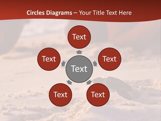 Beach Turtle Shell PowerPoint Template