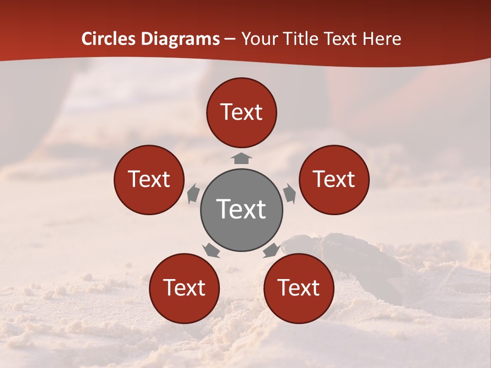 Beach Turtle Shell PowerPoint Template