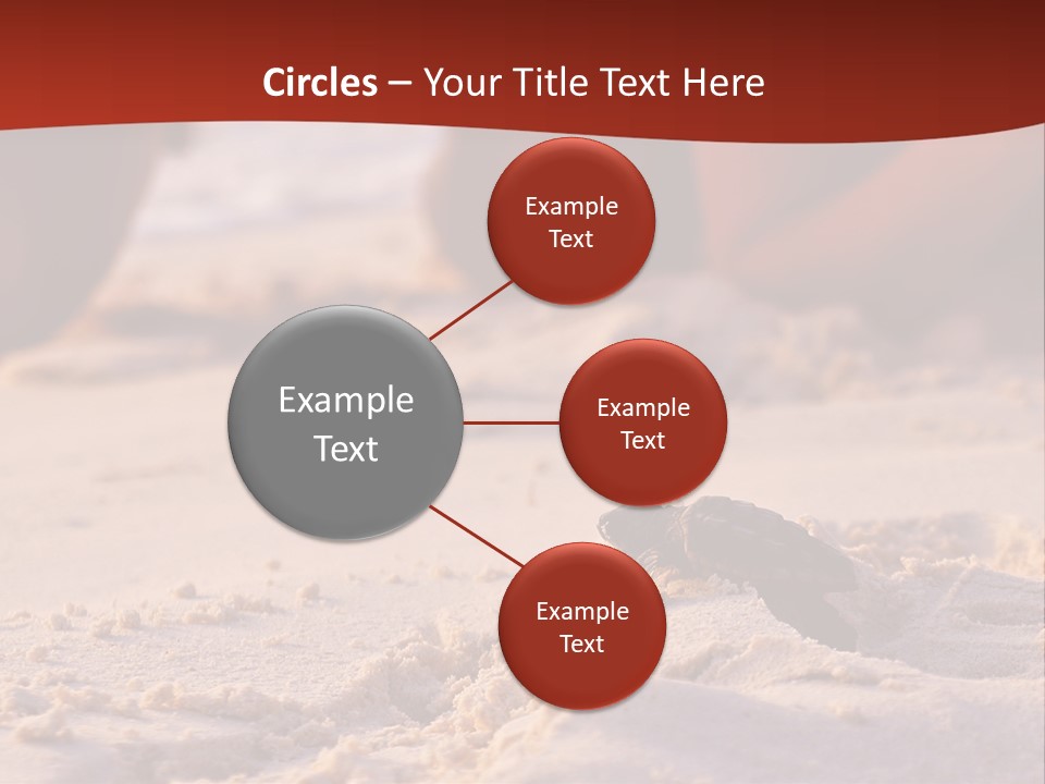 Beach Turtle Shell PowerPoint Template