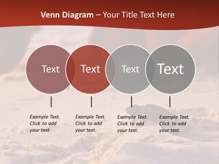 Beach Turtle Shell PowerPoint Template
