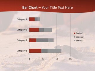 Beach Turtle Shell PowerPoint Template