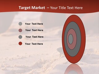 Beach Turtle Shell PowerPoint Template