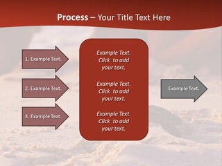 Beach Turtle Shell PowerPoint Template