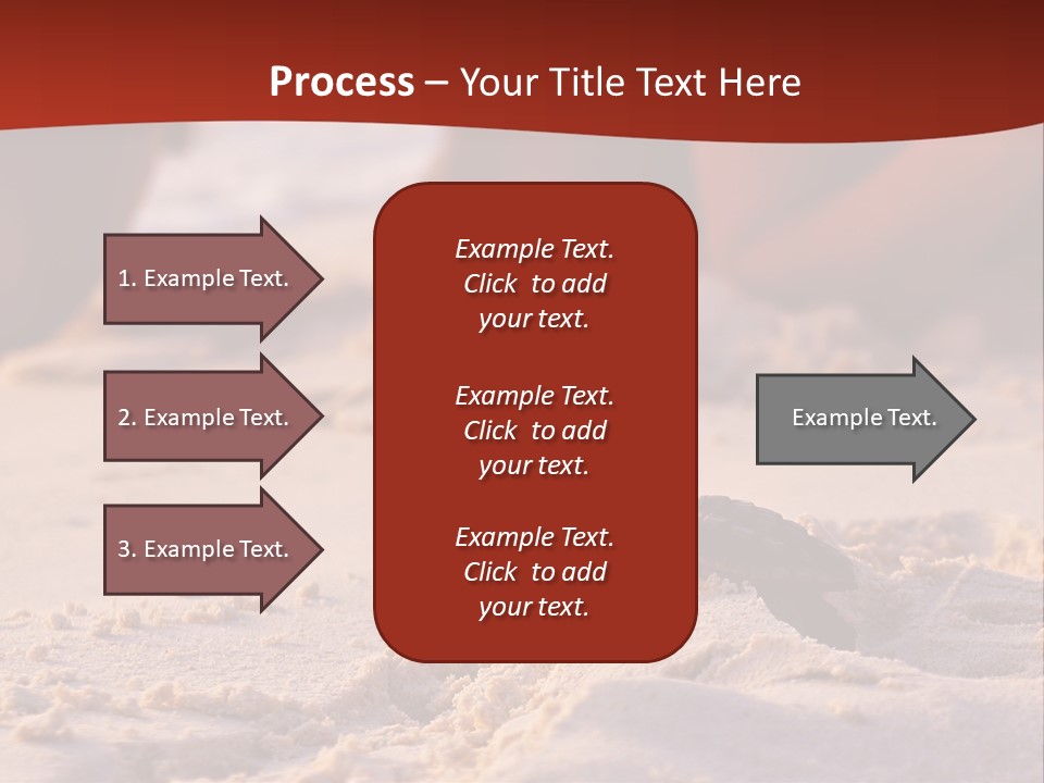 Beach Turtle Shell PowerPoint Template