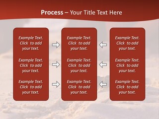 Beach Turtle Shell PowerPoint Template