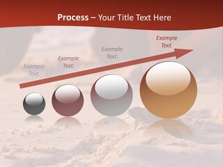 Beach Turtle Shell PowerPoint Template