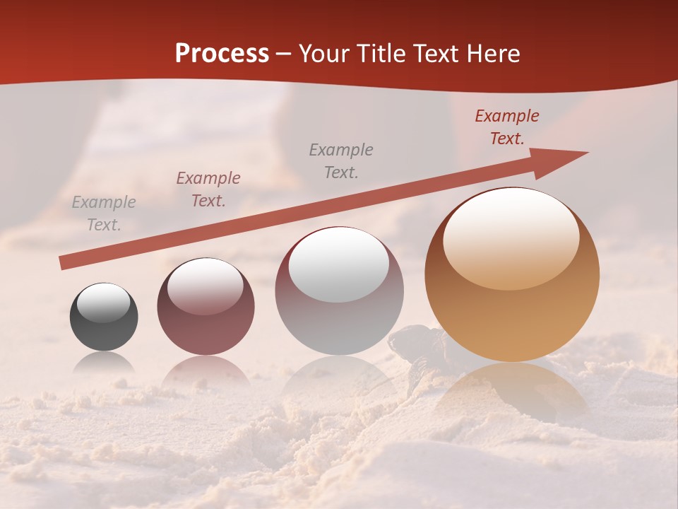 Beach Turtle Shell PowerPoint Template