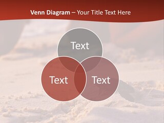 Beach Turtle Shell PowerPoint Template