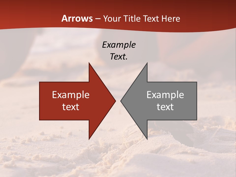 Beach Turtle Shell PowerPoint Template