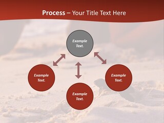 Beach Turtle Shell PowerPoint Template