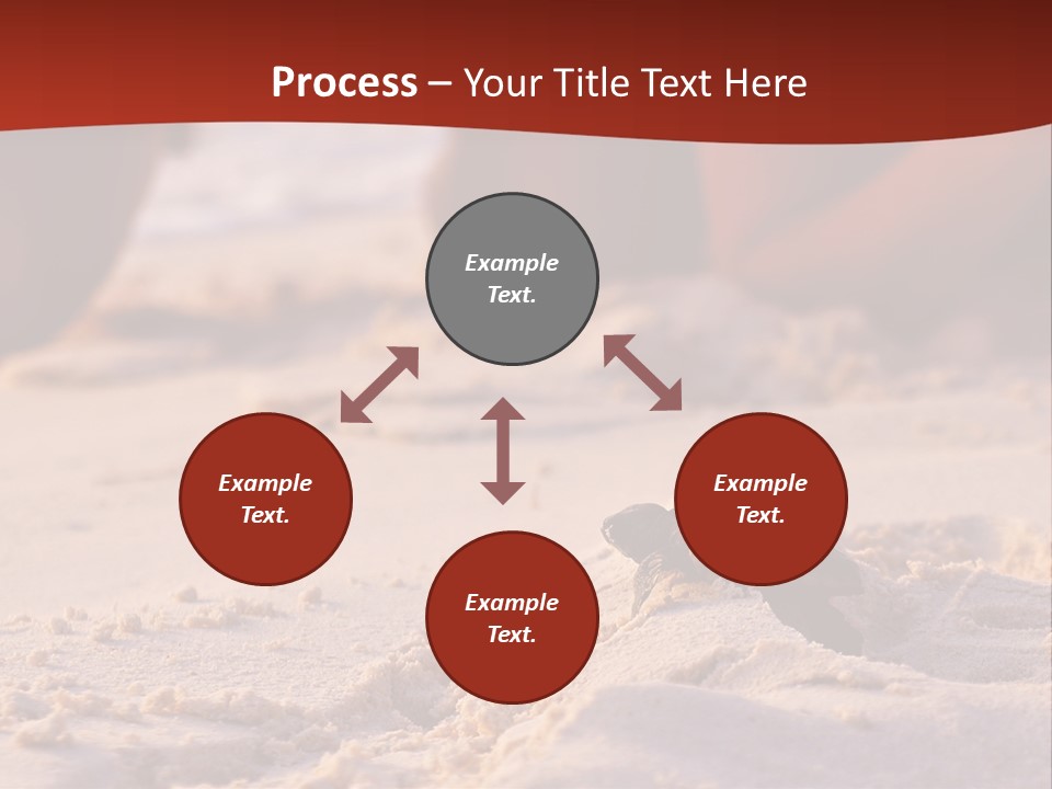 Beach Turtle Shell PowerPoint Template
