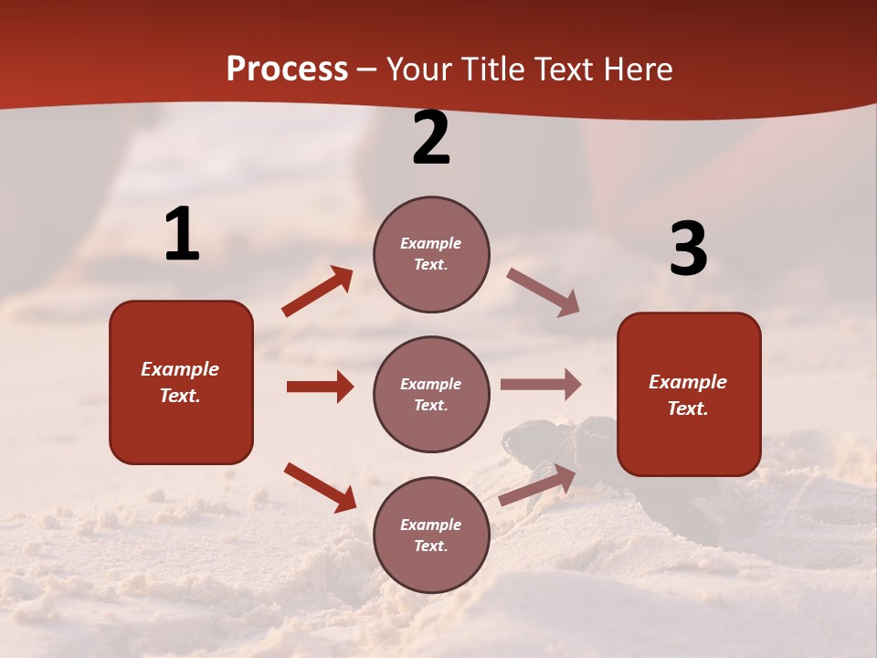 Beach Turtle Shell PowerPoint Template
