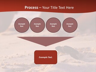 Beach Turtle Shell PowerPoint Template