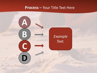 Beach Turtle Shell PowerPoint Template