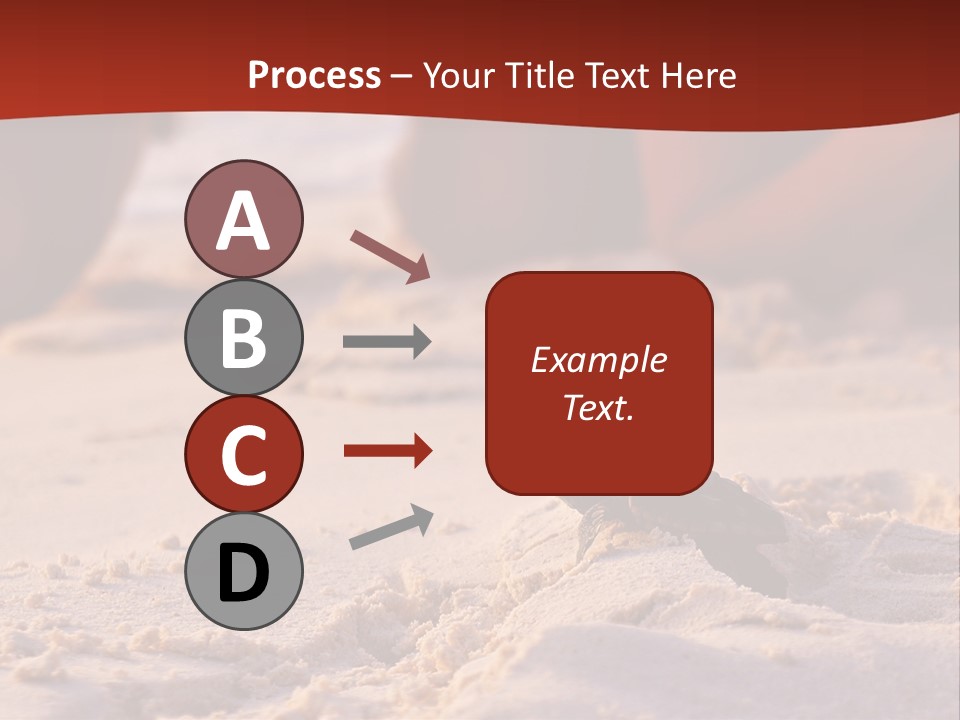 Beach Turtle Shell PowerPoint Template