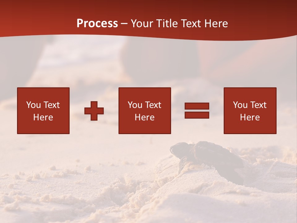 Beach Turtle Shell PowerPoint Template