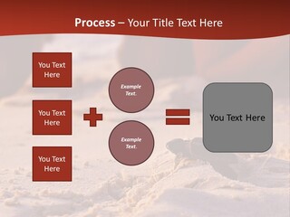 Beach Turtle Shell PowerPoint Template