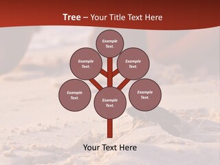 Beach Turtle Shell PowerPoint Template