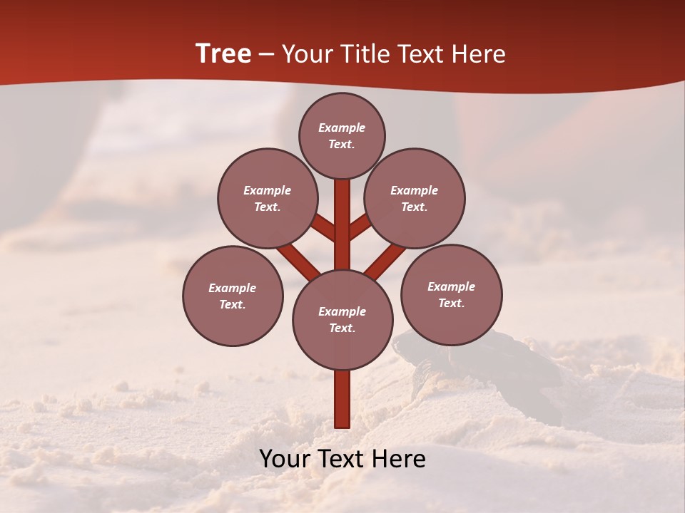 Beach Turtle Shell PowerPoint Template