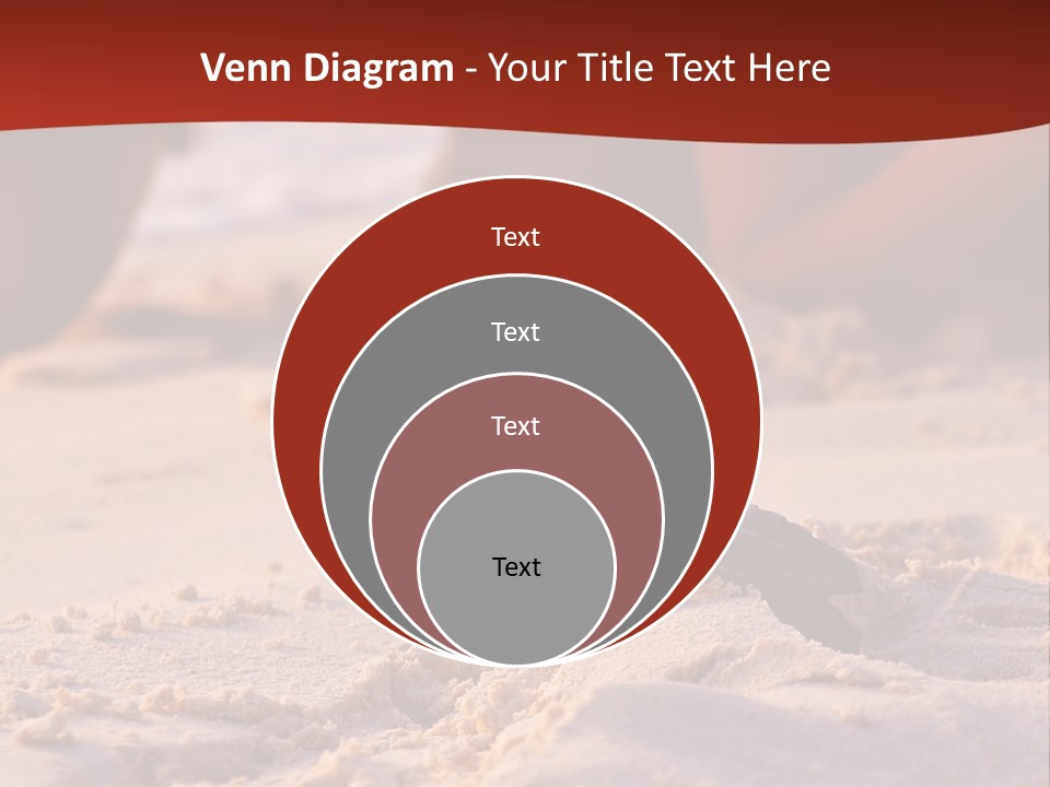 Beach Turtle Shell PowerPoint Template