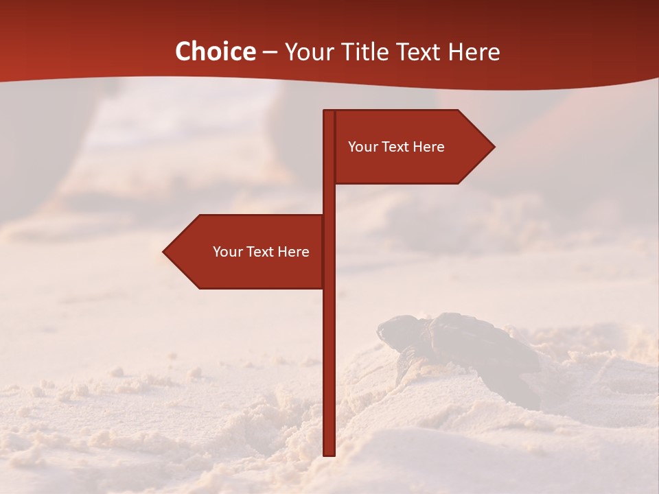 Beach Turtle Shell PowerPoint Template