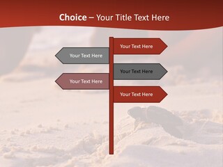 Beach Turtle Shell PowerPoint Template