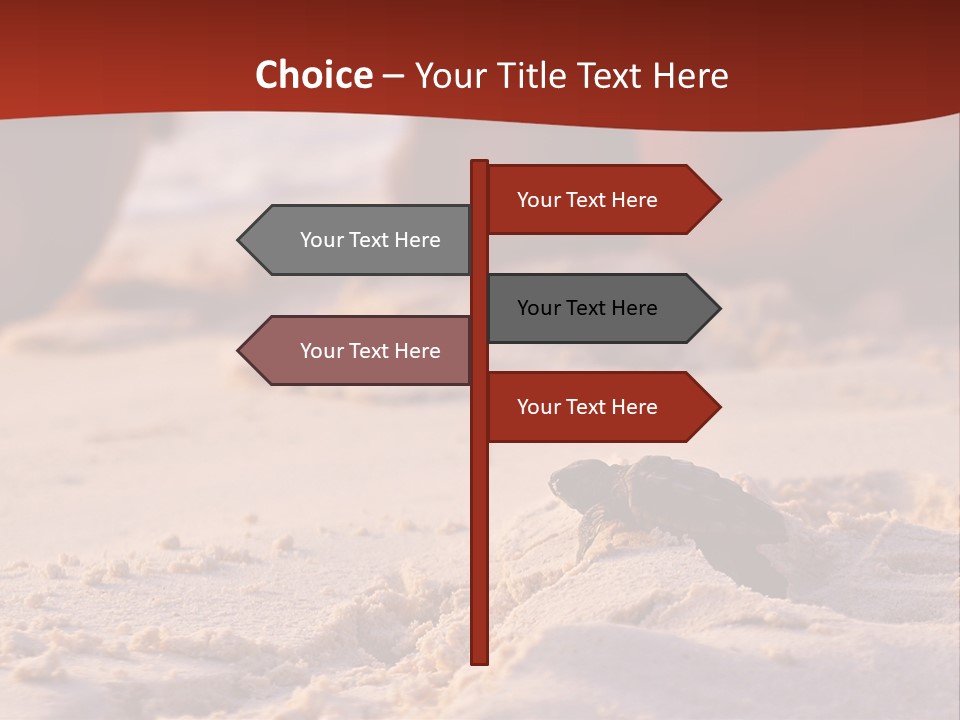 Beach Turtle Shell PowerPoint Template