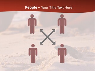 Beach Turtle Shell PowerPoint Template