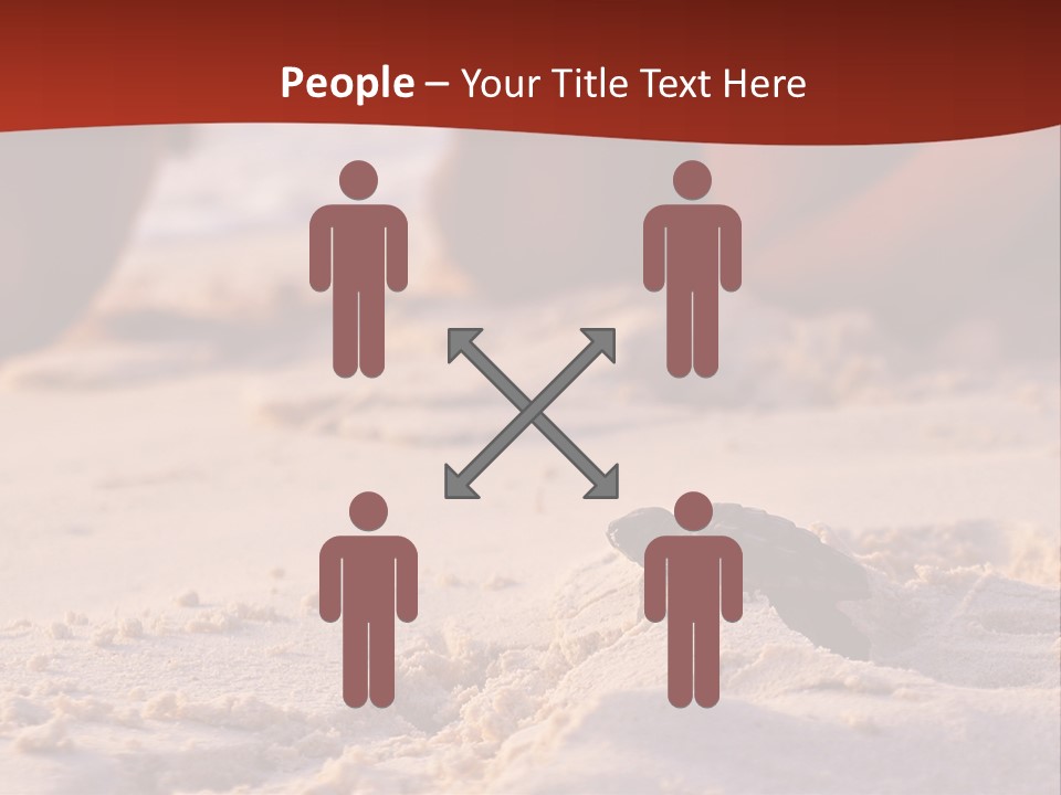 Beach Turtle Shell PowerPoint Template