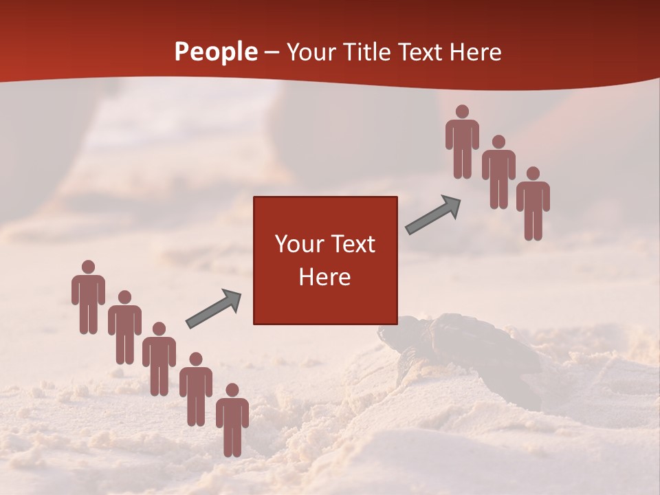 Beach Turtle Shell PowerPoint Template