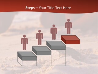 Beach Turtle Shell PowerPoint Template