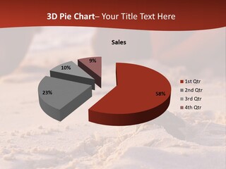 Beach Turtle Shell PowerPoint Template