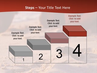 Beach Turtle Shell PowerPoint Template