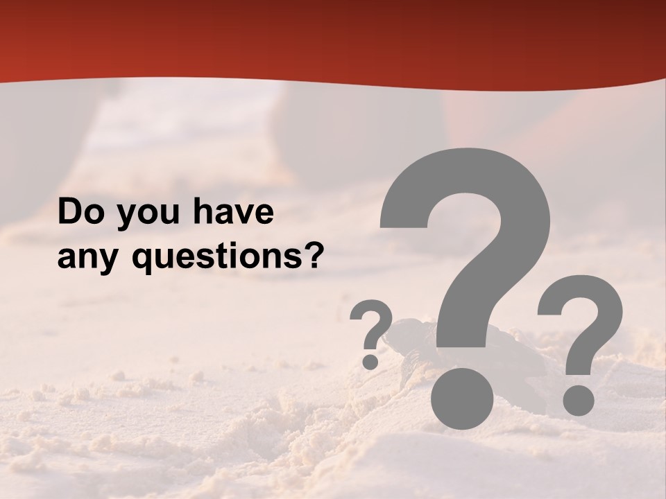 Beach Turtle Shell PowerPoint Template