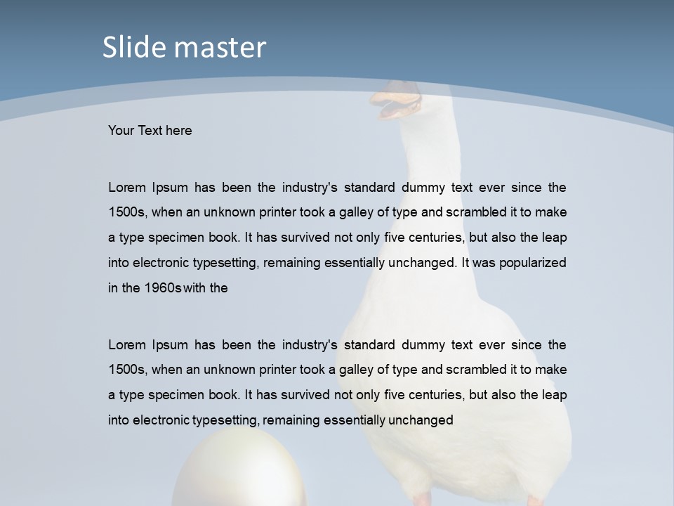 Foot Studio Egg PowerPoint Template