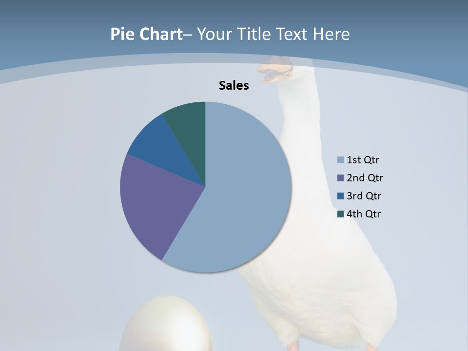 Foot Studio Egg PowerPoint Template