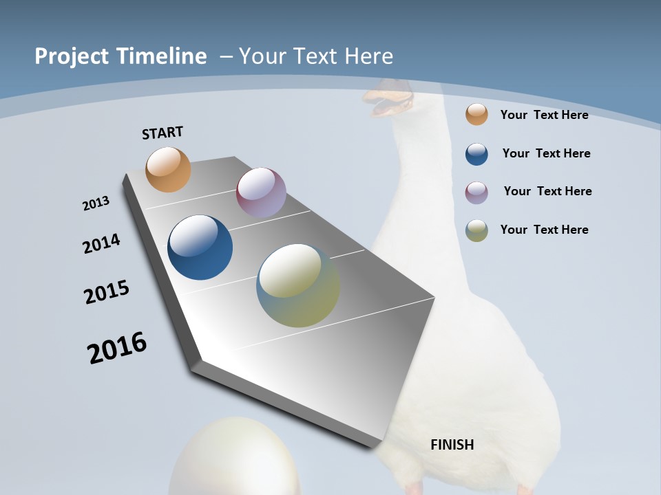 Foot Studio Egg PowerPoint Template